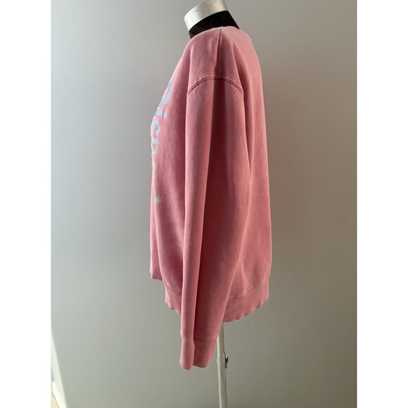 Disneyland Resort Spellout Sweatshirt Size M Pink Pullover Fleece Oversize Comfy - Picture 2 of 11